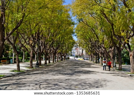 Tree lined road near Zappeion in Athens' National Garden. Royalty-Free Stock Photo #1353685631