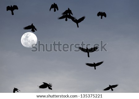 Silhouette of a flock of blackbird flying across across a cool midnight sky with a full moon.