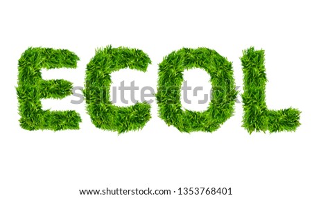 Word Ecol made of fresh green grass isolated on white background 