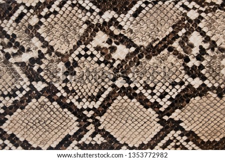 background of snake skin texture Royalty-Free Stock Photo #1353772982