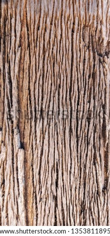 Natural wood grain