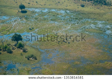 Series of photos taken on Scenic flight in light aircraft over Okavango Delta in Botswana Africa while on camping safari tour. Blue skys, blue water and river, green grass and elephants
