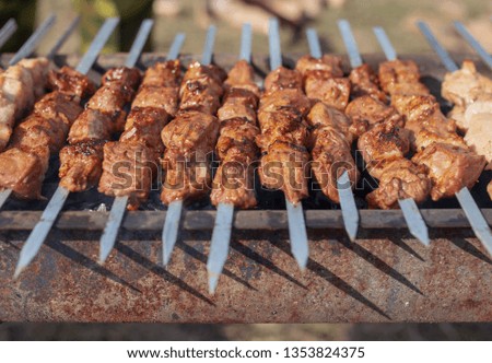Shish kebab on skewers is fried on a brazier .