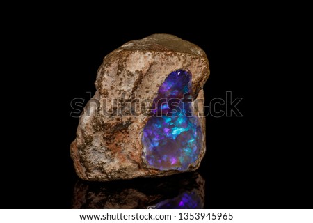 Macro stone Opal mineral in rock on a black background close up