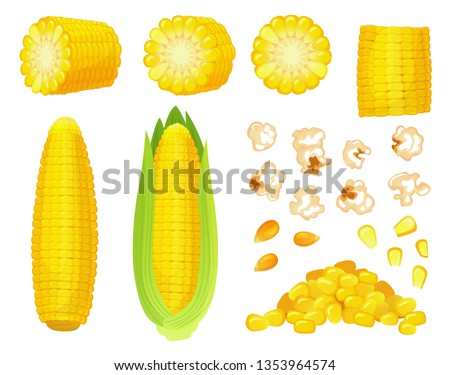 Cartoon corn. Golden maize harvest, popcorn corny grains and sweet corn. Ear of corn, delicious vegetables or corns cob. Agriculture meal harvesting isolated vector illustration icons set Royalty-Free Stock Photo #1353964574