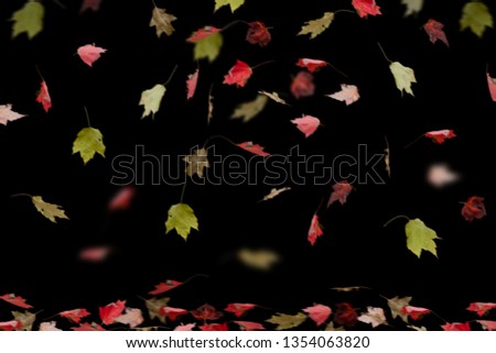 Falling Golden Maple Leaf Isolated on Black Background Element for Artwork Design