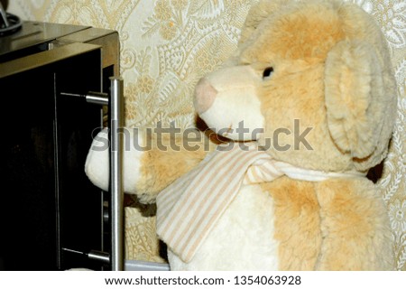 Teddy bear opens microwave check
