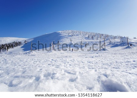 Frozen pine trees Forest Covered By Snow (snow monsters) with blue clear sky background in Zao mountain at Yamakata, Japan