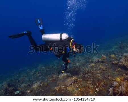 Scuba diver with underwater camera. Diver photographer swimming on the coral reef. Blue tropical ocean, underwater photography from scuba diving on the reef. Photographer in the sea and marine life.