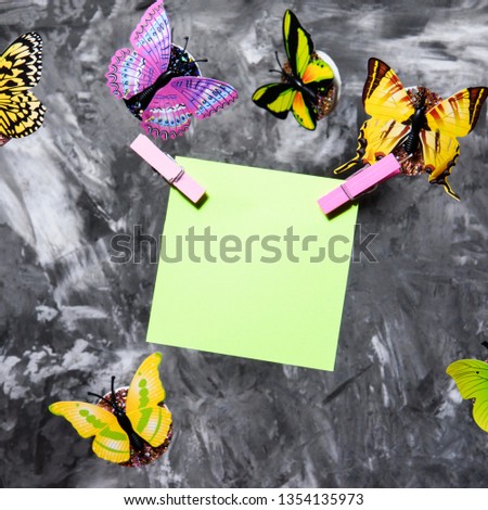 different butterflies fly