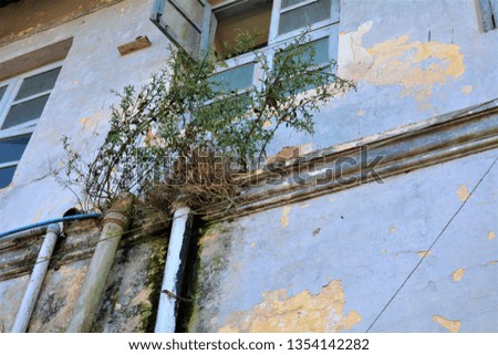 Outside view of a withered wall with metallic water pipe 