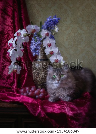 Still life with splendid bouquet and adorable gray kitty