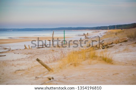 Beach in winter. The Baltic sea. Frost on sand.