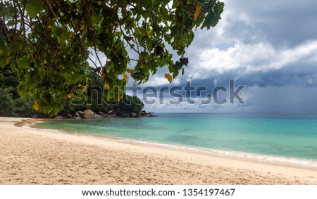 Paradise Beach Seychelles / Anse Louis