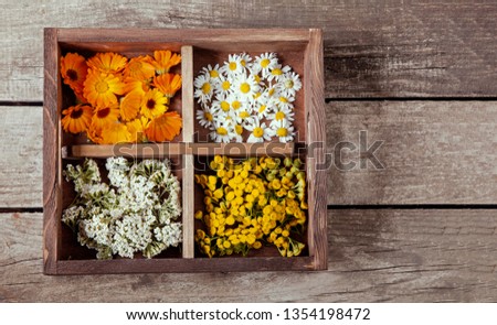 Medicinal herbs tansy daisy calendula yarrow in an old wooden box on the table.