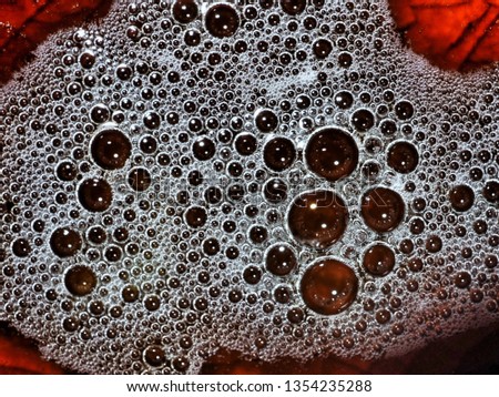 Soap bubbles macro photography