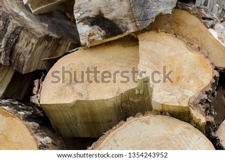 Stacks wood timber background. Pile of wood logs storage for industry. Saws cut wood logs. Wood texture background.