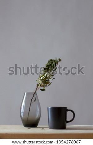 Minimal style table. Studio home life, simple style interior. Design decorations plant and coffee on table on white wall background. - Retro home interior, scandinavian design, minimal style interior. Royalty-Free Stock Photo #1354276067