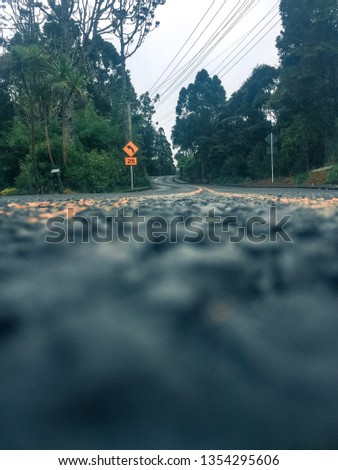 Streets of Titirangi, New Zealand near French bay, one photo has a key ring with an Eiffel Tower and Golden Gate Bridge, there are landscapes showing all the beautiful trees engulfed by fog