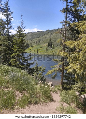 Aspen Mirror Lake Utah & Big Cottonwood Canyon Utah
 Royalty-Free Stock Photo #1354297742