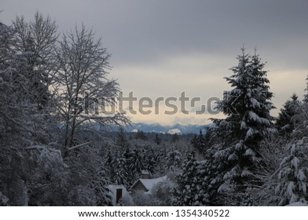 A snowy forest with mountains in the background