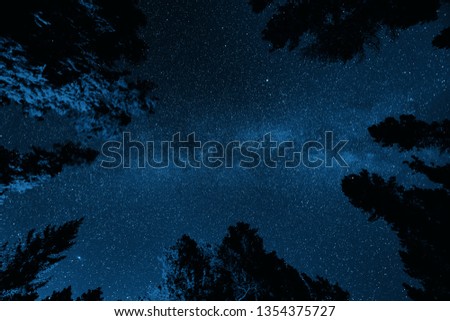 Milky Way in forest in Banff National Park