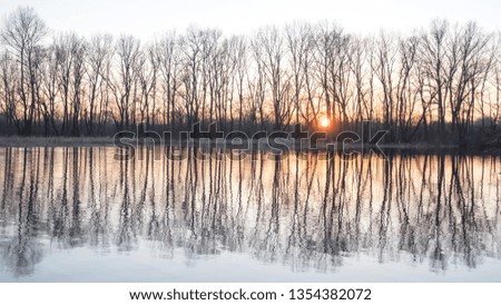 Dead trees reflected in a lake with sunset background. River bank with bare trees and rising sun. Bare tree trunks and branches, gently clouds on ripple water. Pacifying landscape background.