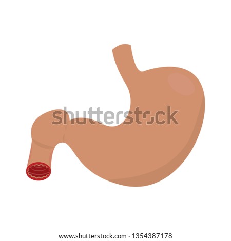 Abstract human stomach