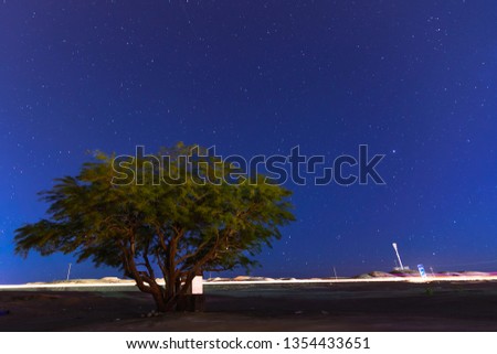 Tree to the stars