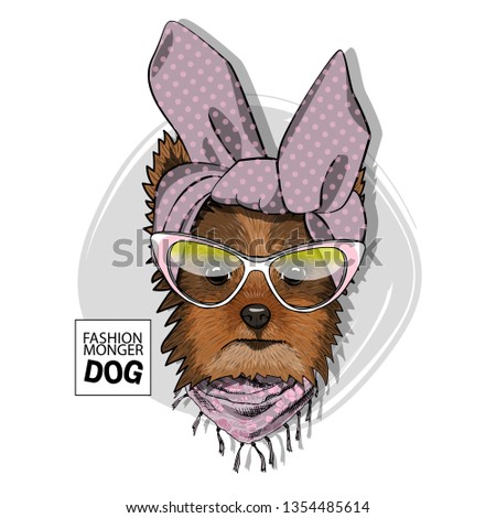Pretty Yorkshire Terrier with glasses, turban and scarf. Hand drawn illustration of dressed dog.  Vector illustration.