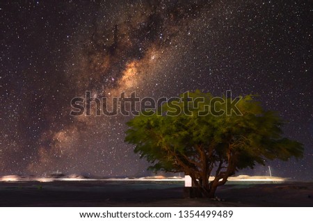 Tree and the milkyway
