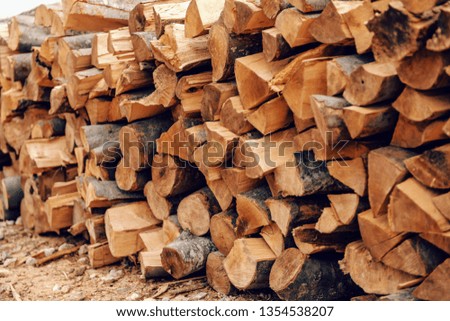 Picture of logs stacked on pile.