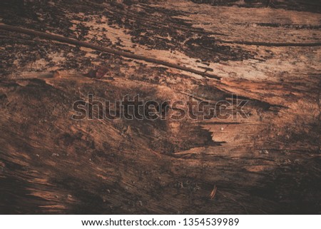 bark texture background