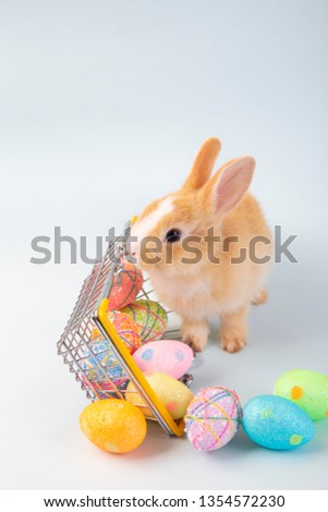 Happy easter eggs collection, Cute bunny with basket and egg coloring.