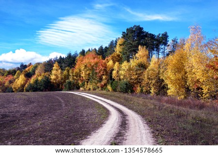Beautiful landscape with road near autumn forest (loop, purpose, life search,  arc - concept)