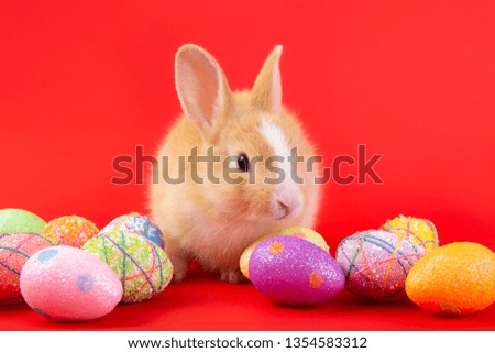 Happy easter eggs collection, Cute brown rabbit bunny with basket eggs paint red background.