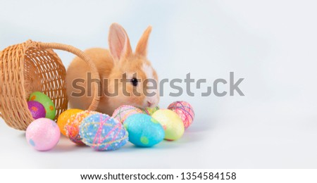 Happy easter eggs collection, Cute brown rabbit bunny with basket.