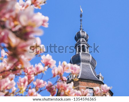 Old tower with blossom of magnolias in Groningen in spring. Beautiful pink magnolias on blue sky background. Warmest colors of magnolia flowers . Magnoliaceae soulangeana