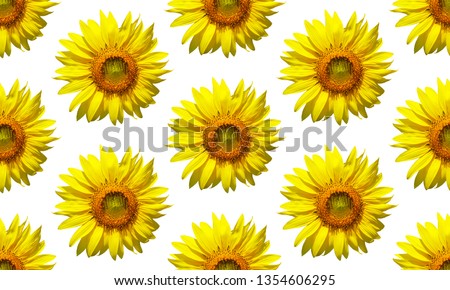 Sunflower seamless pattern background.