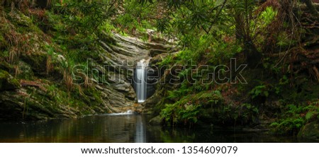 Forest waterfall. Garden Route. Western Cape. South Africa