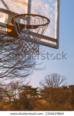 Basketball hoop with net in the park