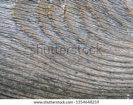 Old and rough wooden texture background close up macro. Aged bright wood with knots
