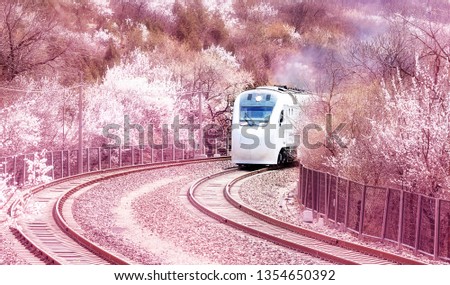 Beijing-Zhangzhou Railway, China, Train for Spring