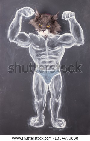 Cat bodybuilder. Strong cat is a superhero. Caricature bodybuilder. 