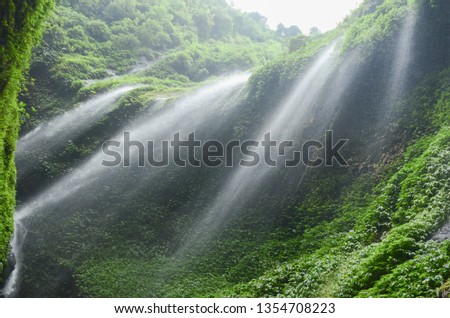 Madakaripura Waterfall, Deep Forest in East Java, Indonesia