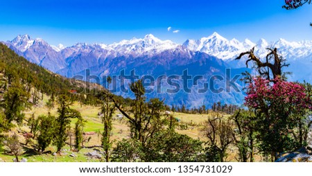 This is the view of Himalayas Panchchuli peaks & alpine landscape from Khalia top trek trail at Munsiyari. Khalia top is at an altitude of 3500m himalayan region of Kumaon, Uttarakhand, India. Royalty-Free Stock Photo #1354731029