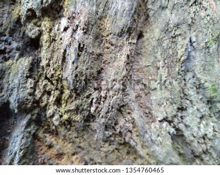 photo of wood texture
