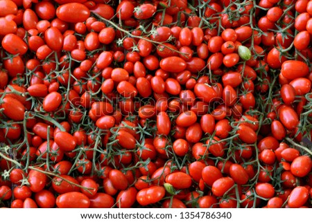 fresh vegetables on the market, Italy, cherry tomatoes, seamless texture