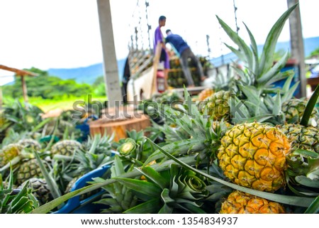 Harvesting agricultural products Picking up fruit to sell