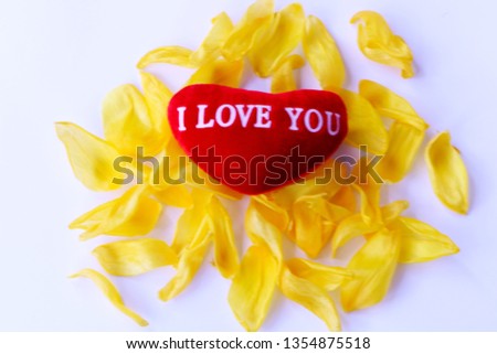 Close-up - red heart lies on the yellow petals of a tulip. White background.